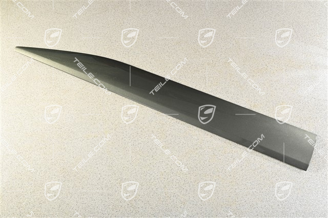 Blende, Tür, vorne, lackiert, L