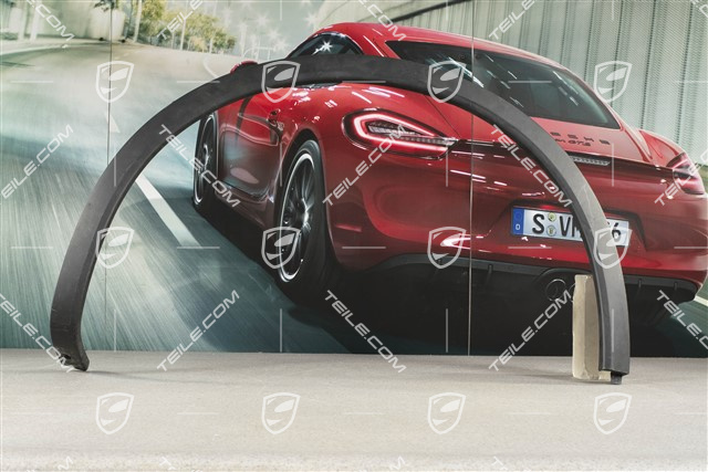 Nakładka błotnika tylnego, Czarna satyna, R