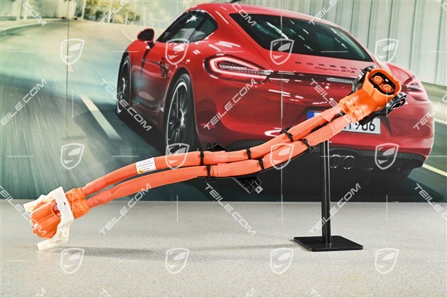 Hochvoltleitungssatz