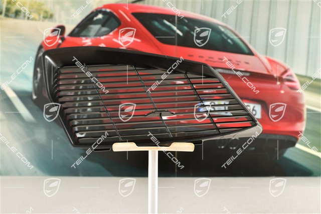 Air inlet protective grille, R