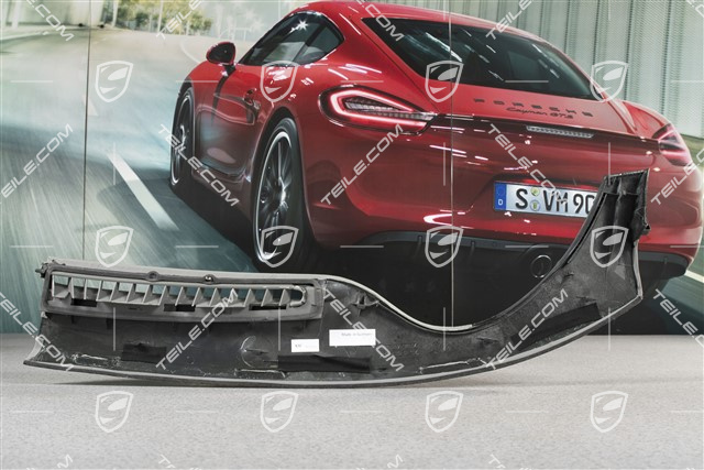 Defroster trim, carbon / leather, graphite grey, R