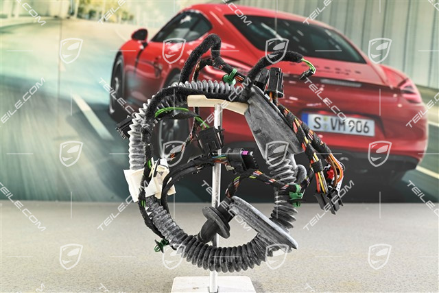 Kabelstrang / Kabelbaum Tuertafel, Hinten, L=R