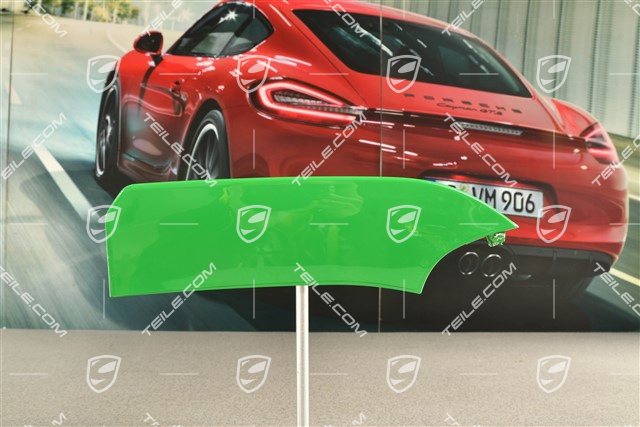 Lamelka / blenda środkowej kratki zderzaka, ACC, R