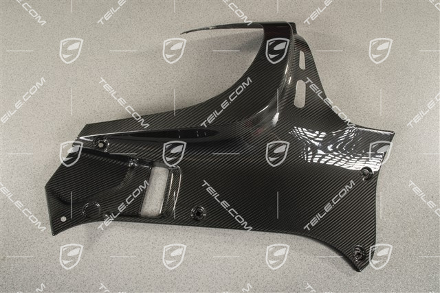 Abdeckung, Radhausschale, Carbon/Schwarz, R