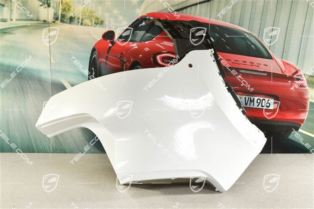 Coupe, Verkleidung, Stoßstange Hinten, seitlich, Parklenkassistent, L