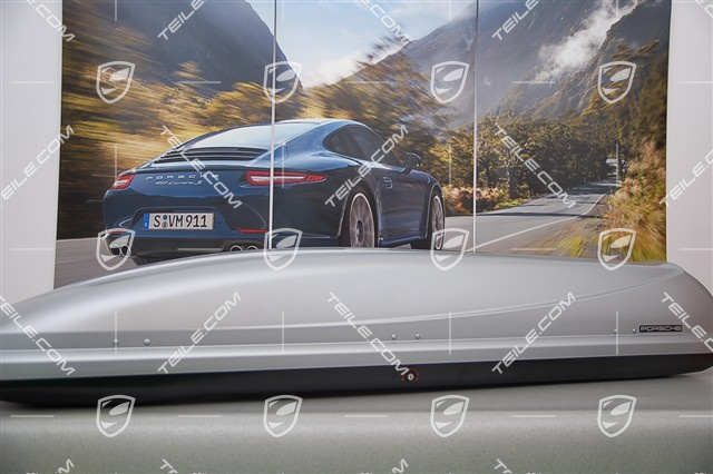 Roof box, narrow, 300-litre, silver, includes integrated ski holder