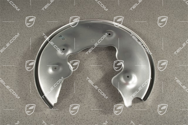 Rear axle disc brake protective plate, R