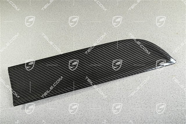 Rear door cover / trim, Carbon Gloss Black, R