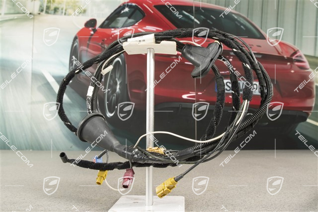 Wiązka instalacji elektrycznej, tył, 433,92MHz, R