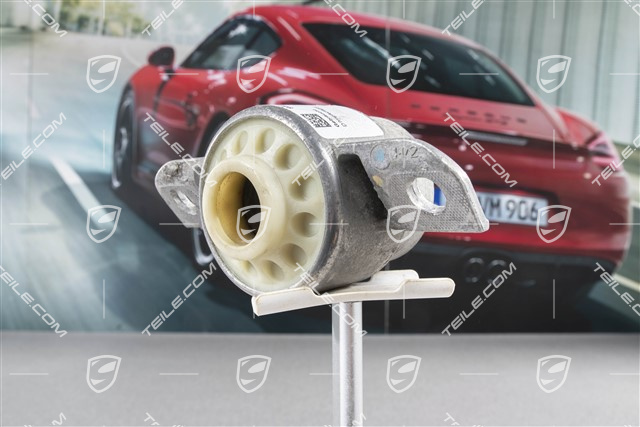 Stossdämpfer / Dämpferlager,Stützlager, Hinten, PASM, L=R