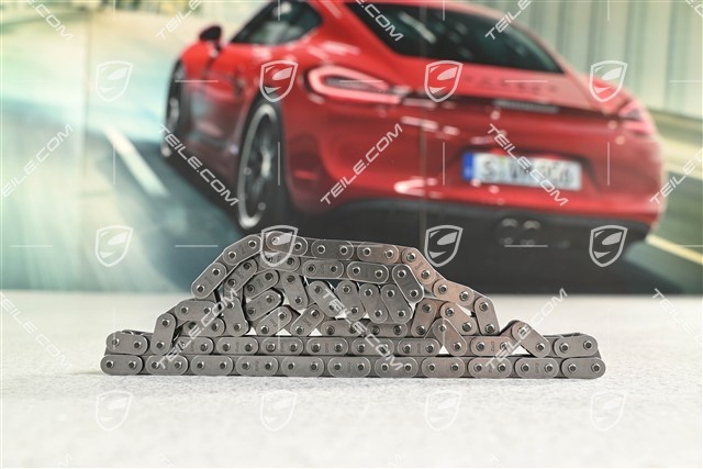 Ölpumpe Antriebskette / Steuerkette, Unten, 3,0L V6