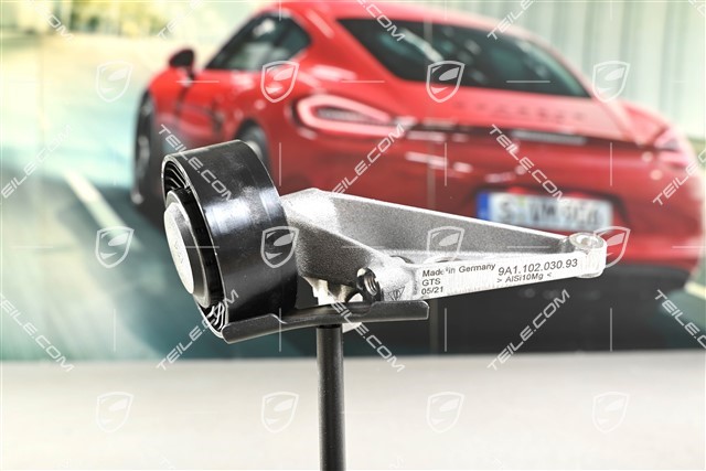 Umlenkrolle mit Halter, GT3