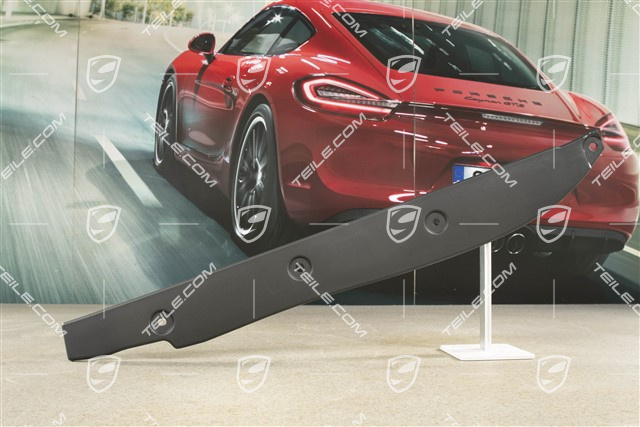 Abdeckung zwischen Kotflügel und Tür, GTS, R