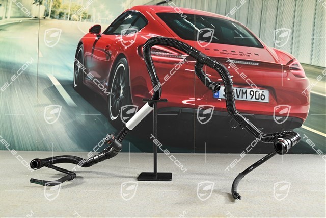 Vent line / breather hose