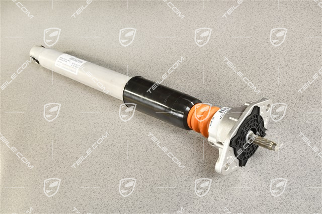 Stossdämpfer / Schwingungsdämpfer komplett, Ohne Luftfeder, HA, PASM