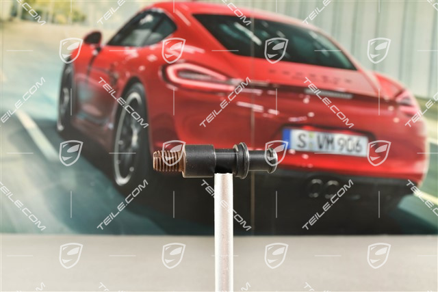 Bolzen, Verriegelung, Lehne, Coupe / Targa, L=R