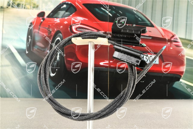 Kabelsatz, Panoramadach / Glasdach