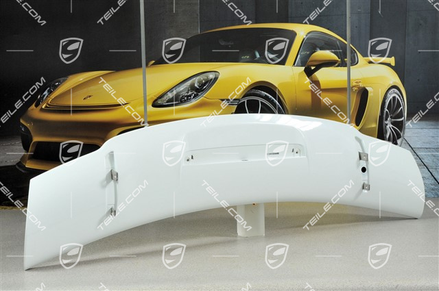 GT3 rear spoiler / wing, upper part