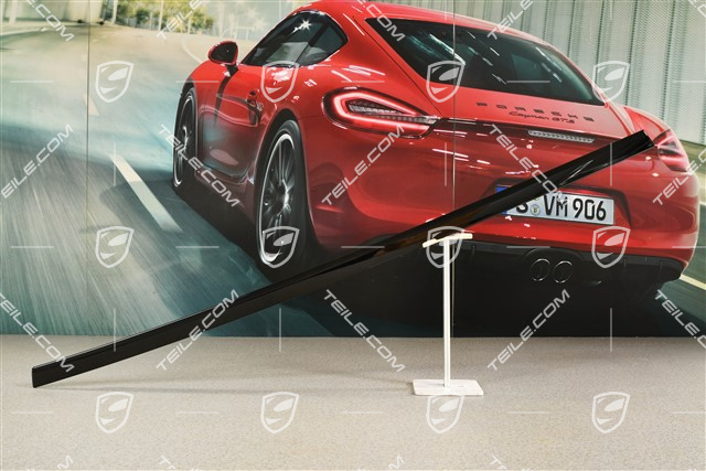 Hintertürleiste, Zierleiste Hochglanz Schwarz, R