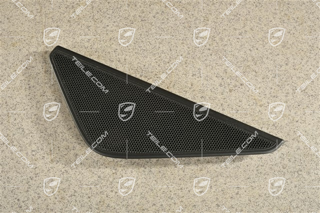 Hintertür, Türverkleidung, Lautsprecherblende / Mittelton Lautsprecher, Schwarz, L