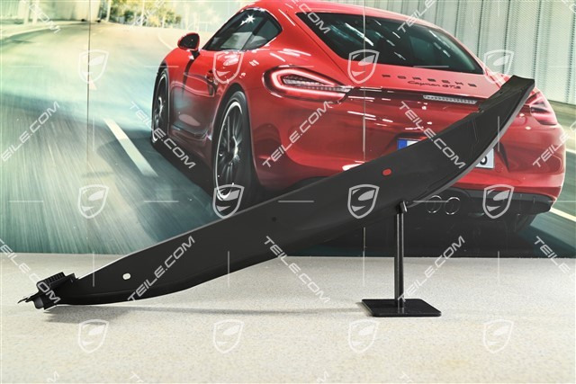 Kotflügel Blende, Satinschwarz, R