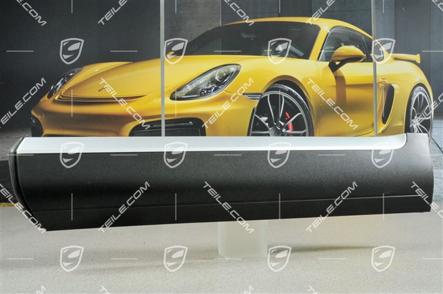 Zierleiste (mit Alu) für Hintertür, L Zierleiste (mit Alu) für Hintertür, L