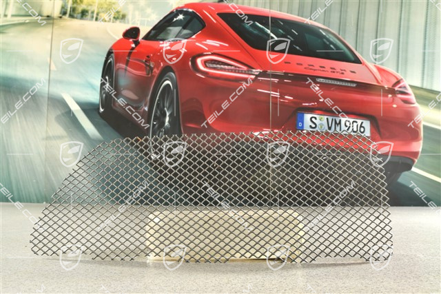 Front bumper, side ventilation grille, GT4, R