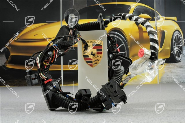 Wiring harness, Assembly frame, driver's door, L Wiring harness, Assembly frame, driver's door, L