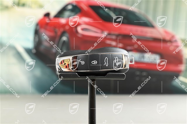 Pilot centralnego zamka / alarmu