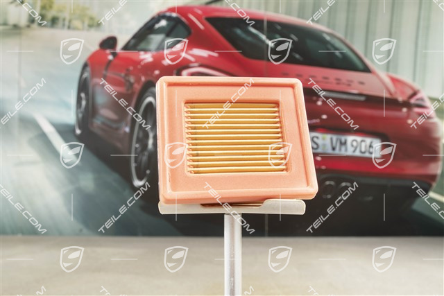 Wkład filtra, Filtr węglowy