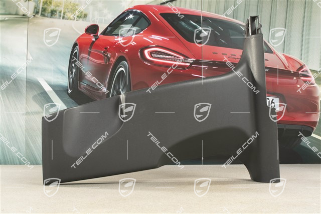 B-Säulen Verkleidung, Schwarz, L