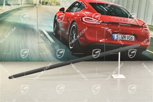 Dach Zierleiste, Satin Schwarz