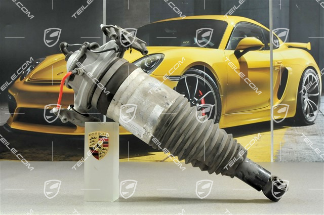 Federbein, V6 3.0L 245KW (Hybrid) / V8 Biturbo 4.8L 368KW / V8 4.8L 294KW, L Federbein, V6 3.0L 245KW (Hybrid) / V8 Biturbo 4.8L 368KW / V8 4.8L 294KW, L