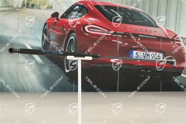 Gasdruckfeder, R
