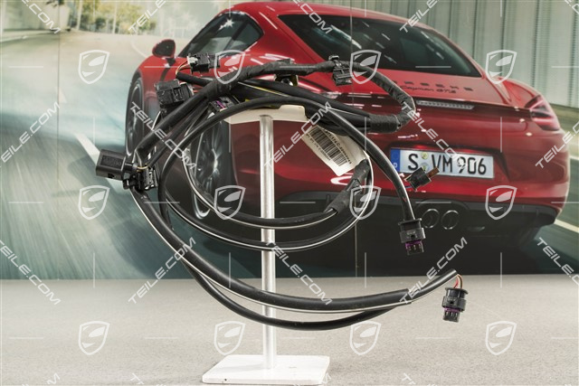 Kabelstrang Verkleidung hinten, C4/C4S, PDC