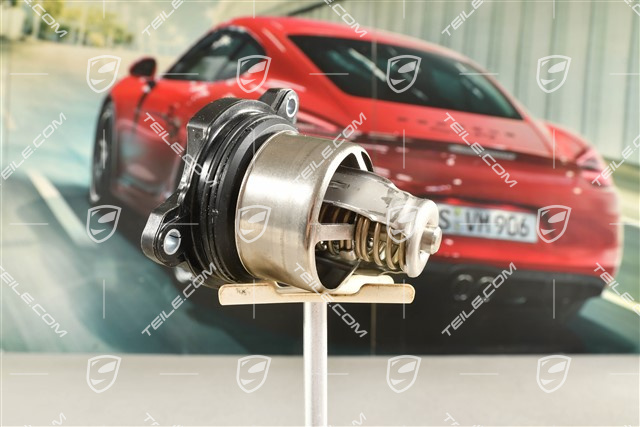 Thermostat insert 2,9L