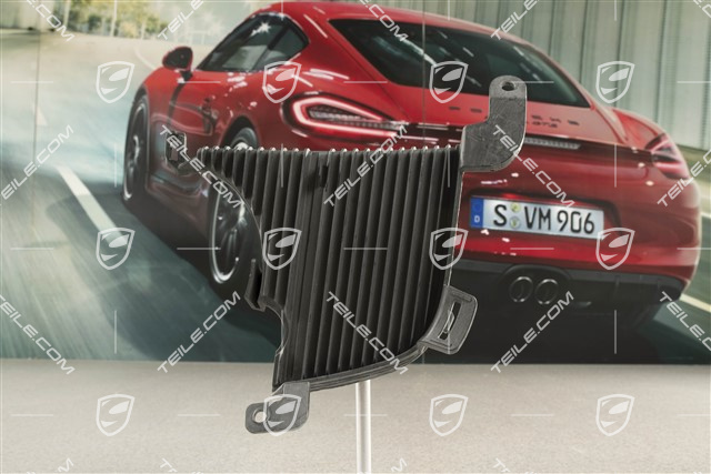 Air inlet / duct / guide cover, lateral, Black matte, PDC, R