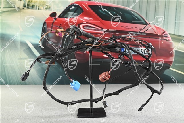 Wiring Harness, Tailgate, R