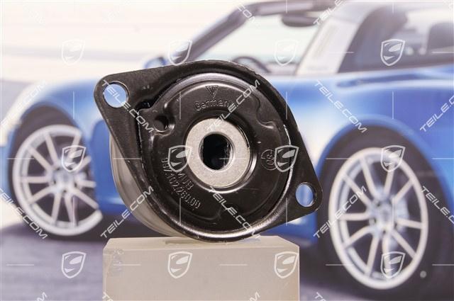 Spannelement 2,5L / 2,7L / 3,2L / 3,4L / 3,6L / 3,8L