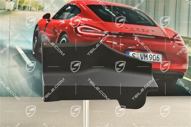 Targa top, storage cover lining, lateral, Black, L