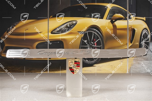 Blende, Einstiegleiste, Vorne, Edelstahl, GTS, L