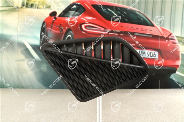 Kratka / osłona głośnika w desce rozdzielczej, czarna, L