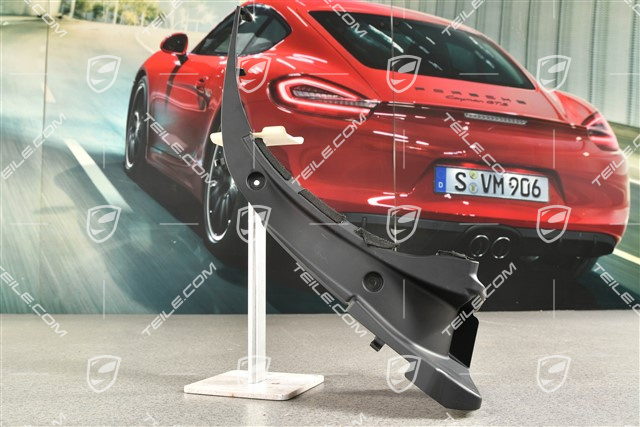 Targa, blenda skrytki dachu, boczna, czarna, R