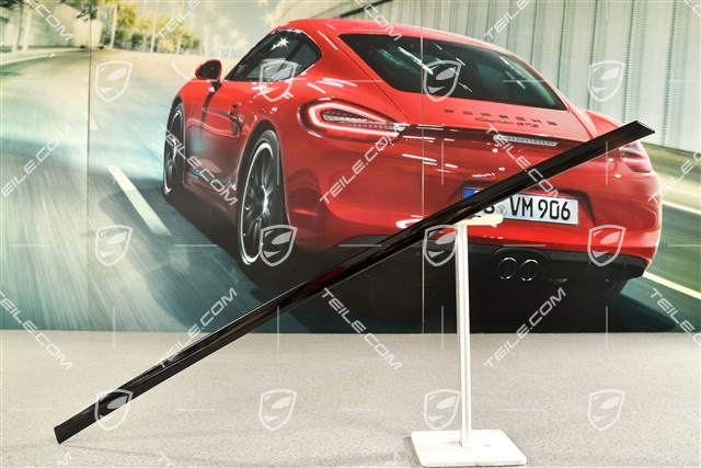 Zierleiste Tür hinten, Schwarz L