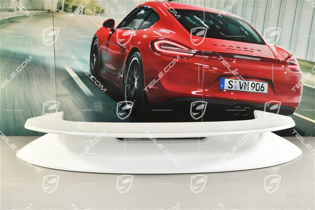 Spoiler tylny, Dakar