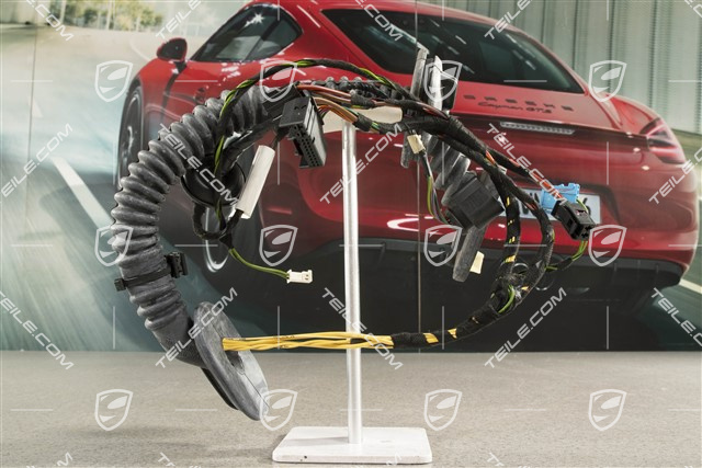Wiązka instalancji elektrycznej drzwi tylne, L=R