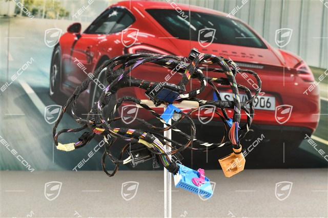 Kabelstrang / Kabelbaum, Fahrertür, Burmester