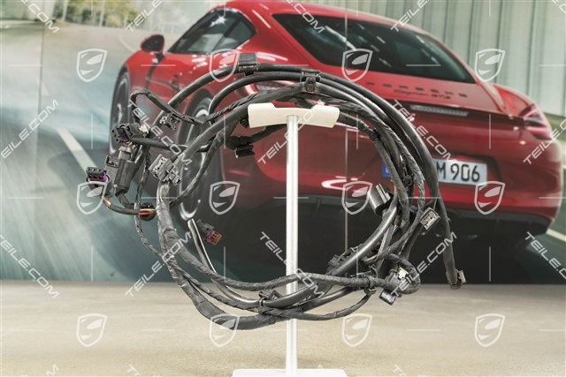 Wiring harness, rear bumper