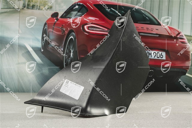 Obudowa tylnej lampy, R