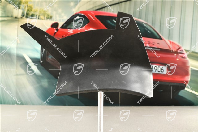 Heckleuchte Abdeckung, aussen, L